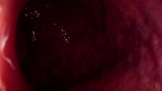 Internal Anal View Large Bad Dragon Rex Pounds My Ass And Cums